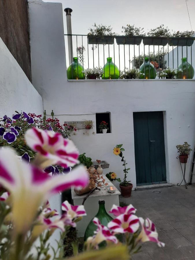 Vila Argenta 111 Santa Tecla Acireale Exteriér fotografie